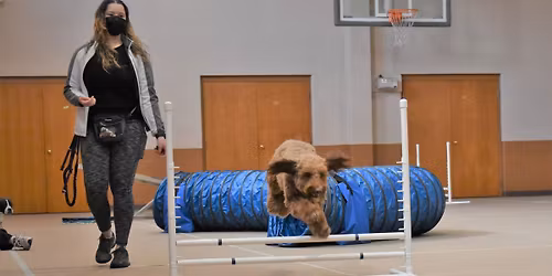 Intermediate Agility...Drop in