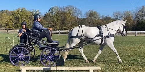 Central Ohio Carriage Driving Schooling Event #2