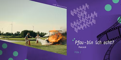 Pfau - Bin ich echt? (Peacock)
