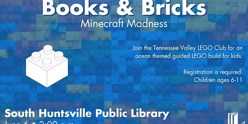 Books & Bricks: Minecraft Madness
