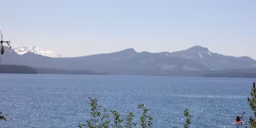 Building Strength and Bone Health 