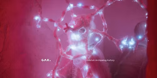 EKSTAZA | Wernisa\u017c wystawy drugiej edycji QUEERCODED