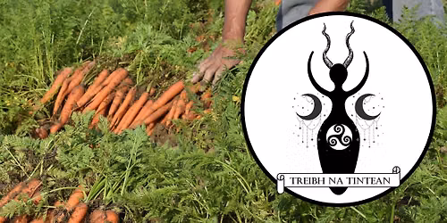 Mabon & Full Moon Ritual w\/ Treibh na Tintean