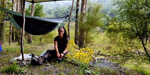 Wild Forest Camp Wellington