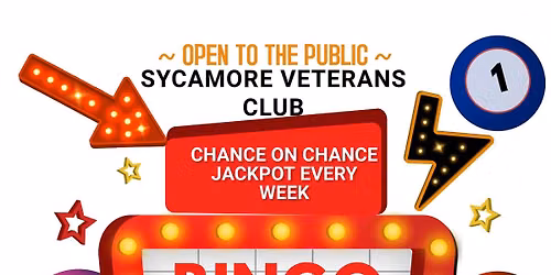 BINGO Night