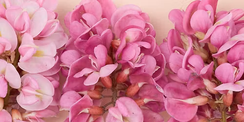 Cookies + Candles: Mother\u2019s Day Edition! 