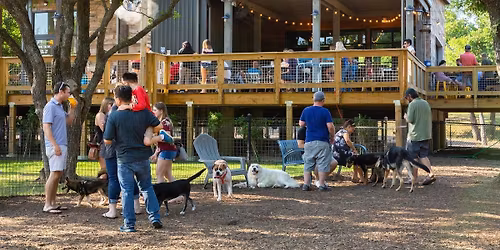 Pug Play Date at The Shacks
