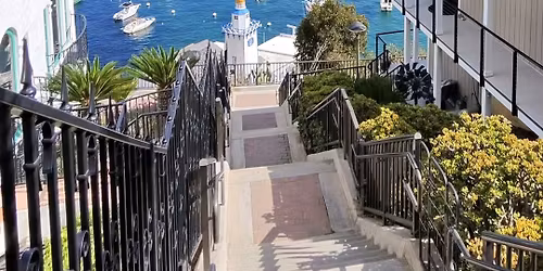 Club D3 West Coast Spring Cruise and Disneyland