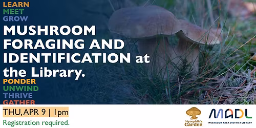 Mushroom Foraging and Identification