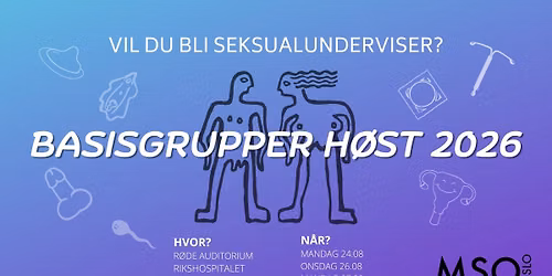 Basisgrupper H26