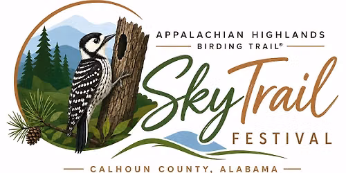 SkyTrail Festival - Sunset Social