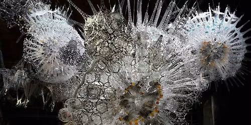 Celebrate the Holidays under Meander