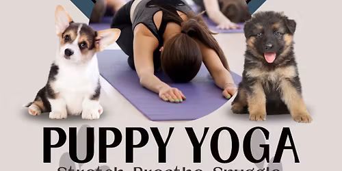 Puppy Yoga