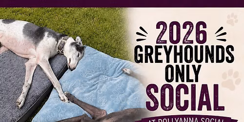 Greyhounds Only Social @Pollyanna Social