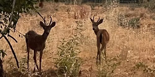 Greenway Series Part 1 of 4 Guided Hike\/Walk