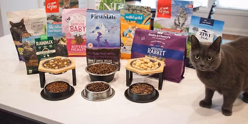 The World Of Cat Stevens