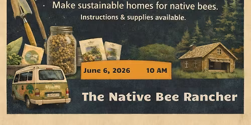 Build A Bee Hotel!