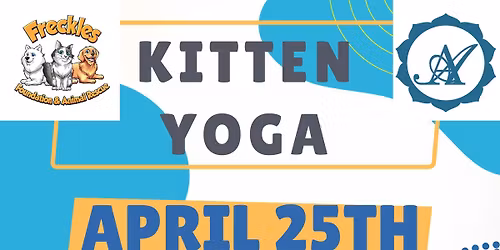 Kitten Yoga