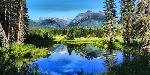 Build Your Own Gingerbread House