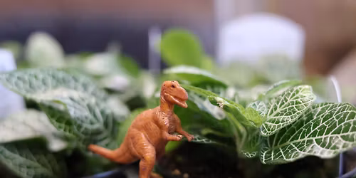 Dinosaur Terrarium Workshop at the Botanical Gardens