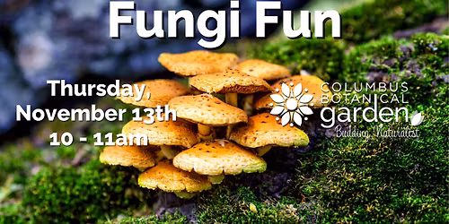 Budding Naturalists - November 13th