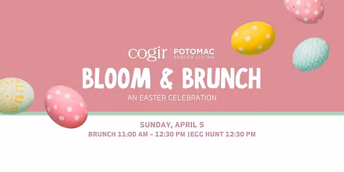 Bloom & Brunch