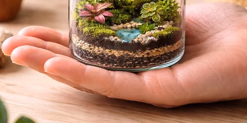 September Meeting: Tackle a Terrarium