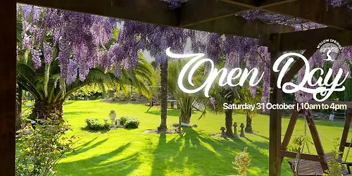 Open Day at Willow Springs