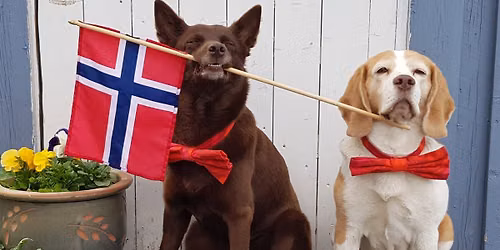 Norgesmesterskap i kreativ lydighet 2026
