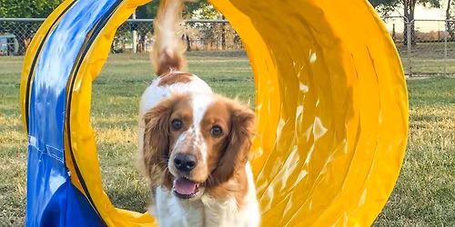 Hoopers Skills and Drills