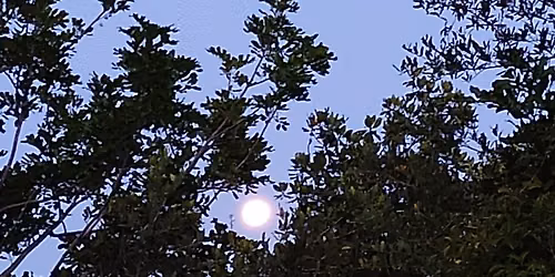 Night Paddle- Observe the Moon Night
