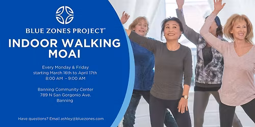 Indoor Walking Moai - BZP Banning