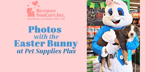 Easter Bunny Photos - WEST ERIE PLAZA