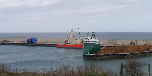 Greyhope Morning: Tales from Two Harbours