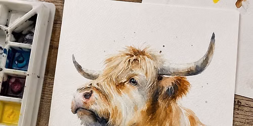 Highland Cow Watercolour Workshop