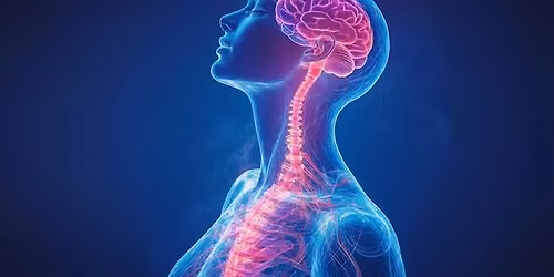 Free Community Workshop: The Vagus Nerve- What it is and Why it matters.