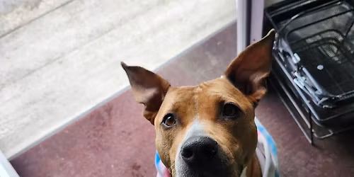 July 12th Pop up at Rockridge!