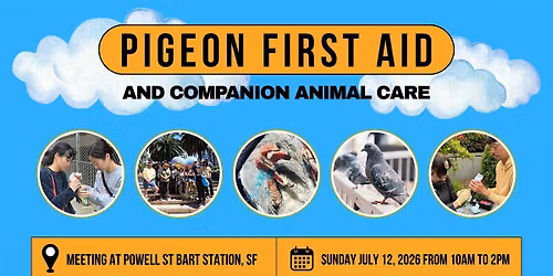 Pigeon First Aid & Companion Animal Care