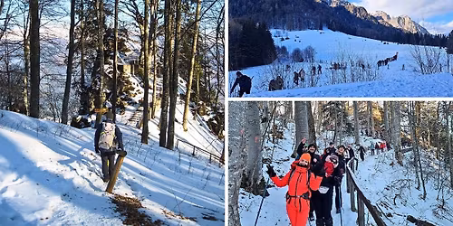 Drume\u021bie u\u0219oar\u0103 pe Poteca Regal\u0103 \u0219i St\u00e2nca Franz Joseph #4