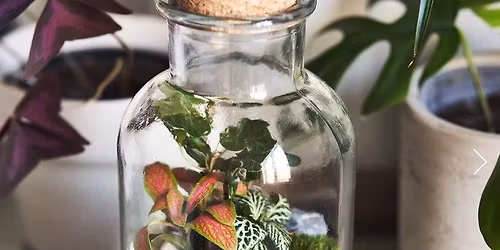 Youth Workshop: Bottle Terrarium