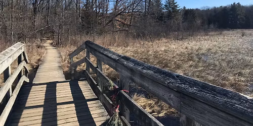 SMOC Silver Lake \/ Pinckney Rec