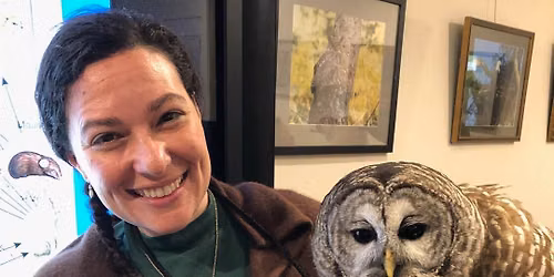 Meet our Radical Raptors with Colleen Harrak
