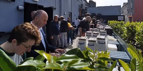 The Galway Record Fair 