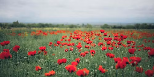 Camaraderie and Coffee