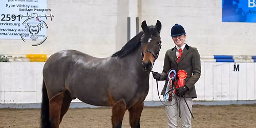 In Hand Showing Show Sunday
