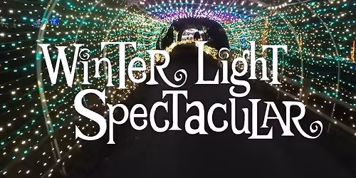 J.E.E.P. Goes to Winter Light Spectacular at the LV Zoo