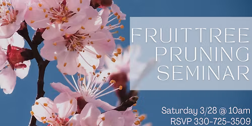 Fruit Tree Pruning Seminar