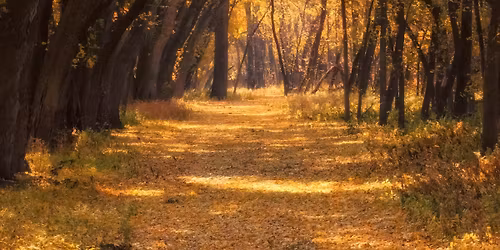 Intro to Hiking: Wilkie