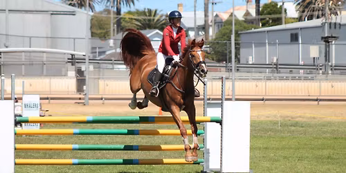 Warrnambool Show \/ Horse Sections
