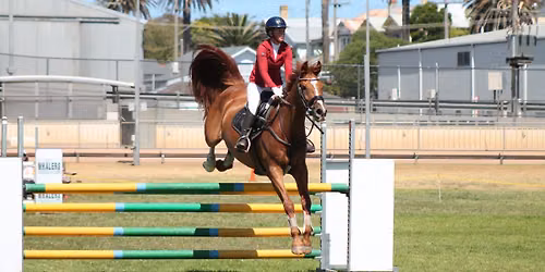 Warrnambool Show \/ Horse Sections